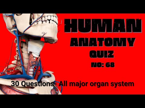 Take This Ultimate Human Anatomy Quiz! No 68