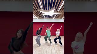 [閒聊] 朴軫永 (就是糕猩) x NMIXX Love Me Like  This Challenge (