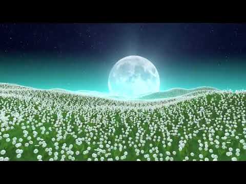 Nelson G Musagate🇵🇷.  Sabiduria