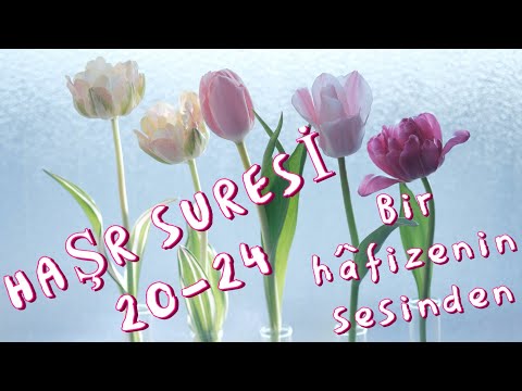 Haşr Suresi (20-24. ayetler) | Uşşak makamı | Bir Hâfizenin Sesinden