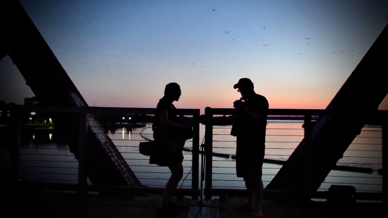Blackest Crow  at Dusk