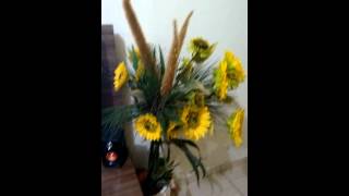 Paula Eckel  Canta Roberta Miranda (CHAMPAGNE) "Cover"