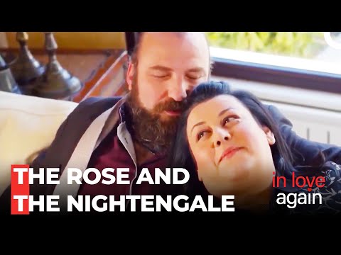 Never A Rose Without A Prick - In Love Again Special Scenes