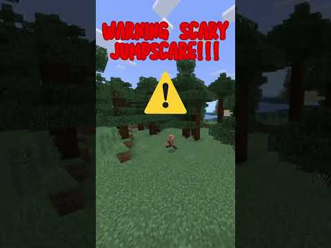 Scariest Jumpscare in the world ⚠😱😰 #horror #shorts #jumpscare #minecraft #creepy