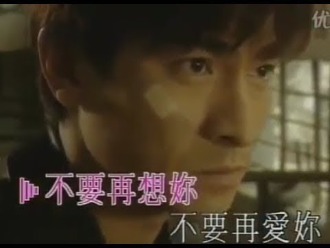 浪人情歌  -  劉德華