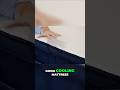 Best Cooling Mattress Sleep Cool All Night Sleepsolution