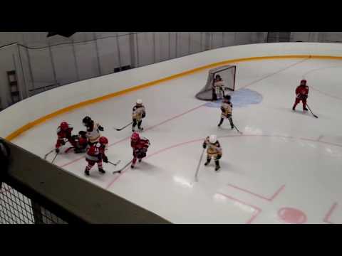 EVU Ruudut - Ilves Florida