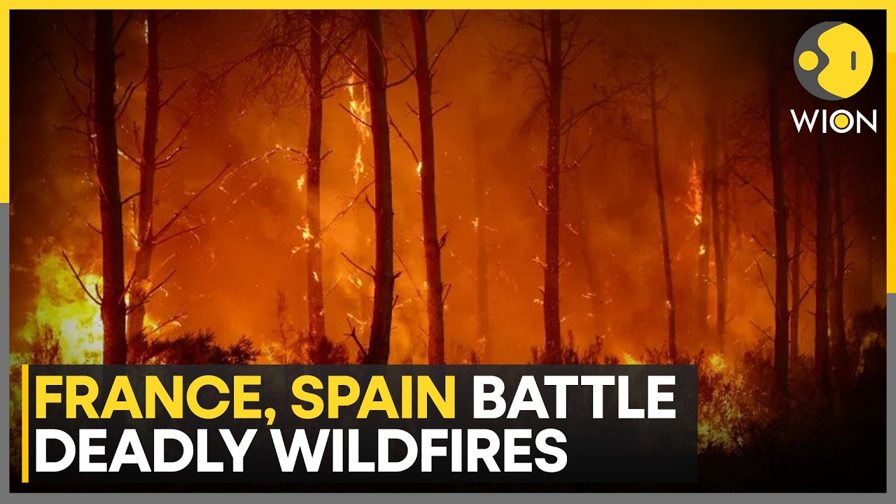 France Wildfires: Emmanuel Macron Praises Firefighters, Emergency Crews | WION News