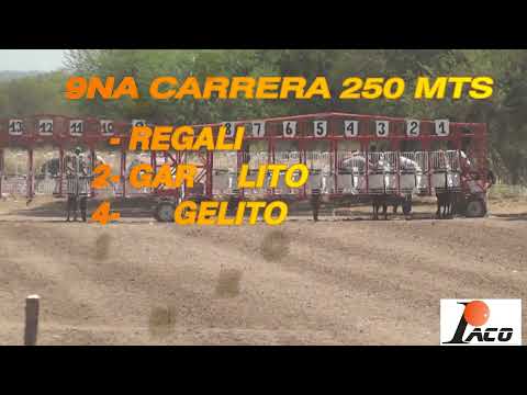 GARDELITO HIPODROMO PANGARE CRUZ DEL EJE 06 11 2022