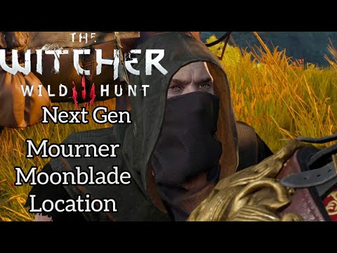 The Witcher 3: Wild Hunt] Next Gen PS5] Best Low Level Swords Mourner/Moonblade