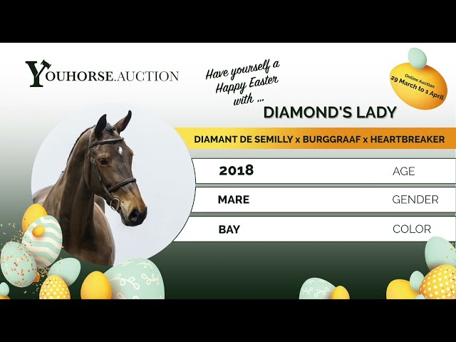 Diamond's Lady showvideo