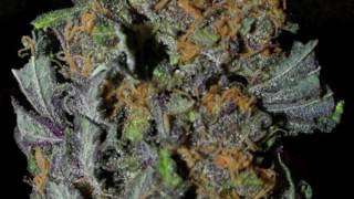 Kultiration   Forward on1