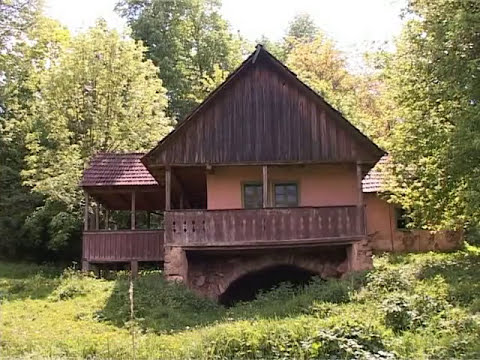 Ion Stoica, un român inventator din satul hunedorean Ormindea