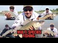 Video Thumbnail for Fishing  at North of Saskatchewan River | Multi Species