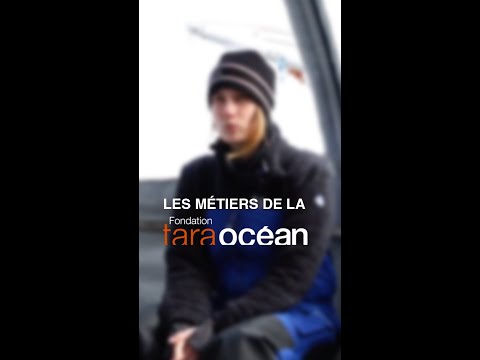 Métier de la Fondation Tara Océan : Officière Polyvalente - Marin