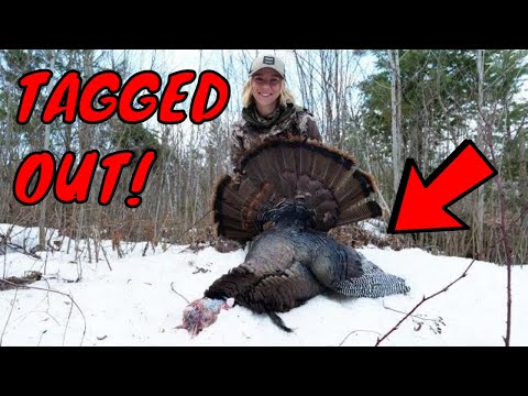 Tagged out up North! - Wisconsin Turkey Hunting - Period A