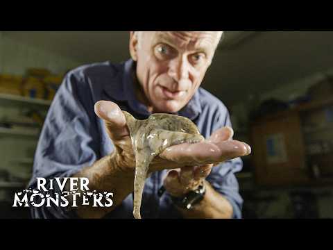 River Monsters Full Episode - Season 8, Episode 4 - Terror In Paradise