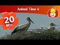Animal Time 4 Luli TV Specials Luli TV Specials Cartoon For Children Luli TV
