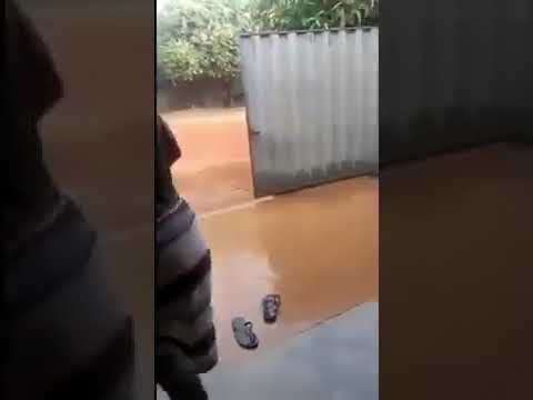 MEMES, PRIMEIRA CHUVA EM COLINAS DO TOCANTINS