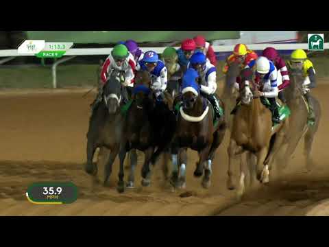 2026/2/15(日) サウジカップ（G1）