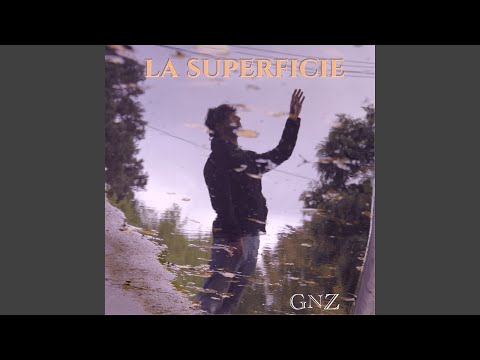 La Superficie