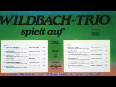 Wildbach Trio - 06 - Bergfrieden