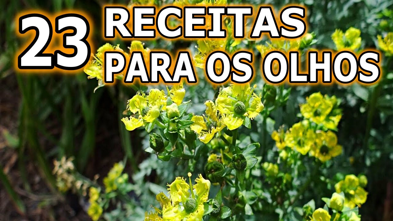 23 Receitas para os Olhos 🌿 Glaucoma, Catarata, Inflamações, Embaçado... 💖 MARILENE SARAH FIALHO