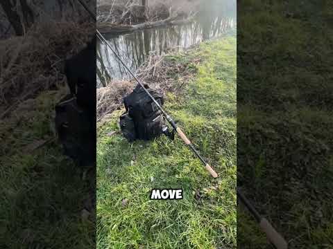 Attempting to catch carp with corn at my creek!?!?🐟#fishing #creeklife #carp #creek #fishinggear