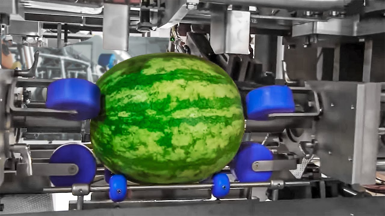 MÁQUINAS INCRÍVEIS PARA FÁBRICAS DE ALIMENTOS E MODERNAS TECNOLOGIAS DE PROCESSAMENTO