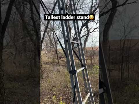 Tallest ladder stand😳 #hunt #hunting #newyork #upstate #ny #deer #duck #duckhunting #buck #tree