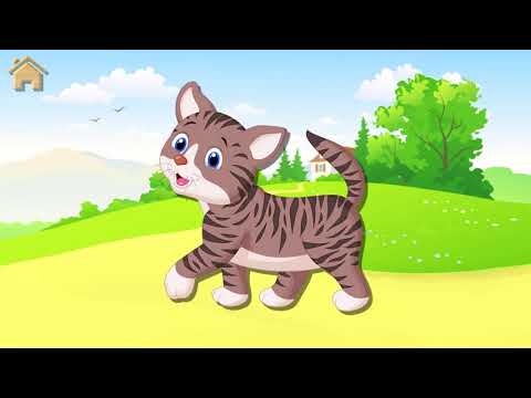 Baby Puzzles for Kids Video
