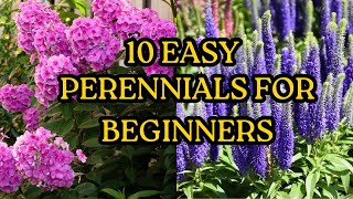 10 Easy Perennials Anyone Can Grow! BulletProof Perennials!
