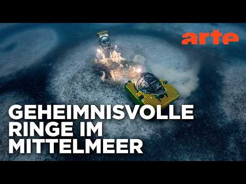 Video Thumbnail: Die mysteriösen Ringe vor Korsika | Doku HD Reupload | ARTE