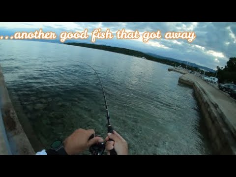 another big fish lost this summer Adriatic sea