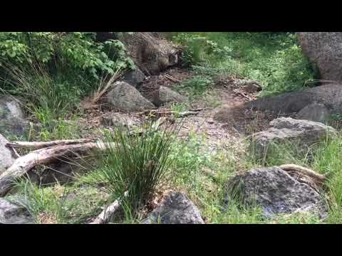 Tor H @ Magiska Gläntan RONNEBY (lekplats) - 2020-05-25 (Ekbacksvägen)