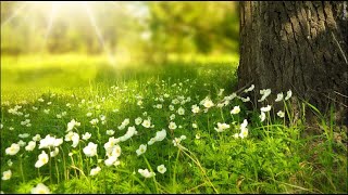 Pollen count reaches season high in Atlanta