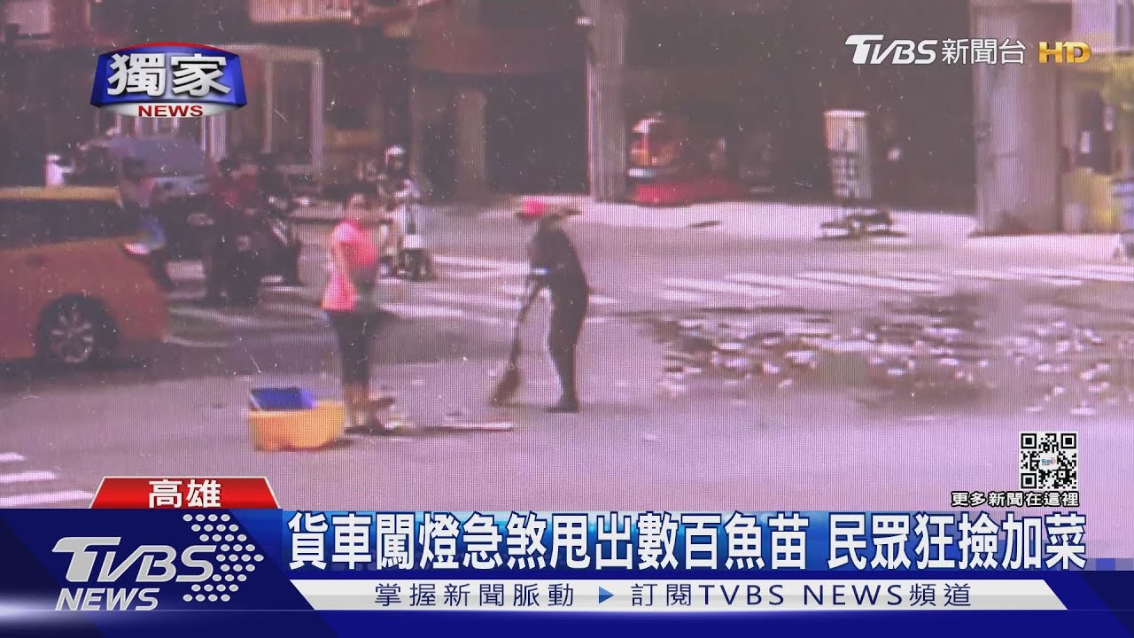 貨車闖燈急煞甩出數百魚苗 民眾拿盆狂撿加菜