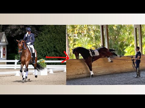 Dr. Cesar Parra - Mollegardens Fashion