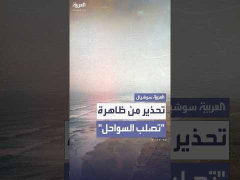 فيديو | بسبب ممارسات الإنسان.. دراسة حديثة تحذر من ظاهرة تم رصدها في ثلث شواطئ العالم