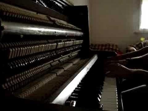 Wim Mertens - Struggle for Pleasure - Merit Cup