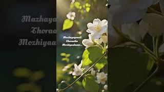 Download lagu mulle mazhaville chollu.....#sajeerkoppamnewsong  #subscribe #like #bts #viral mp3 Download lagu mulle mazhaville chollu.....#sajeerkoppamnewsong  #subscribe #like #bts #viral mp3