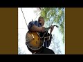Hob 11 Bad Johnny Blues in a