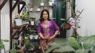 Download lagu Nginang Karo Ngilo -Ami Ds, Astuti, Edi Laras mp3