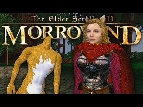 Morrowind's Weirdest Mod