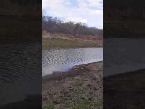 Represa do açude do interior Marabá distrito de ipaporanga no sertão do Ceará