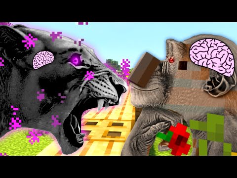 Screaming Enderman VS Chill Iron Golem.