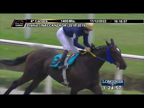 221211 c04 JET POLLY (BRZ)