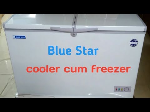 Blue Star CHFK300A Deep Freezer