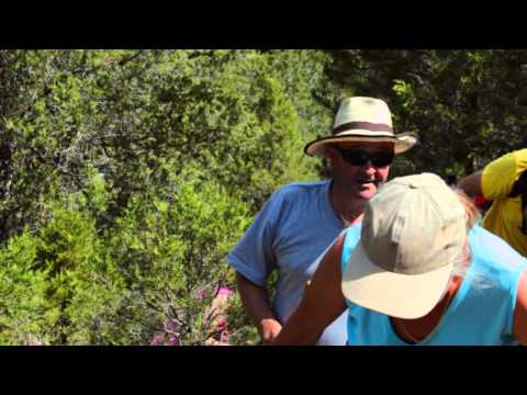 Walking in Briongos de Cervera