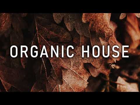 Deep Organic // Chillout Tribal & Downtempo House Mix // November 2021 Vol 2 // mixed by MOH